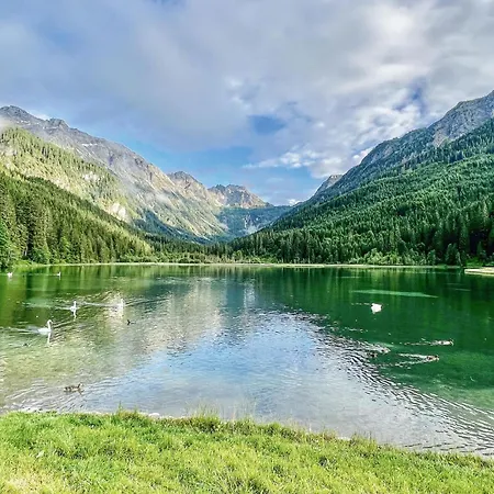 別荘 Gemuetliches Ferienhaeuschen *