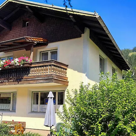 Gemuetliches Ferienhaeuschen Kleinarl